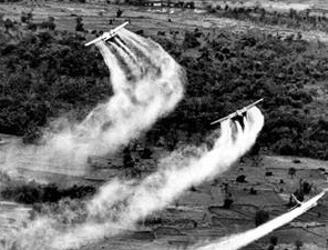 Les Etats-Unis et le Vietnam encore divisés sur l'Agent Orange Les Etats-Unis et le Vietnam encore divisés sur l'Agent Orange